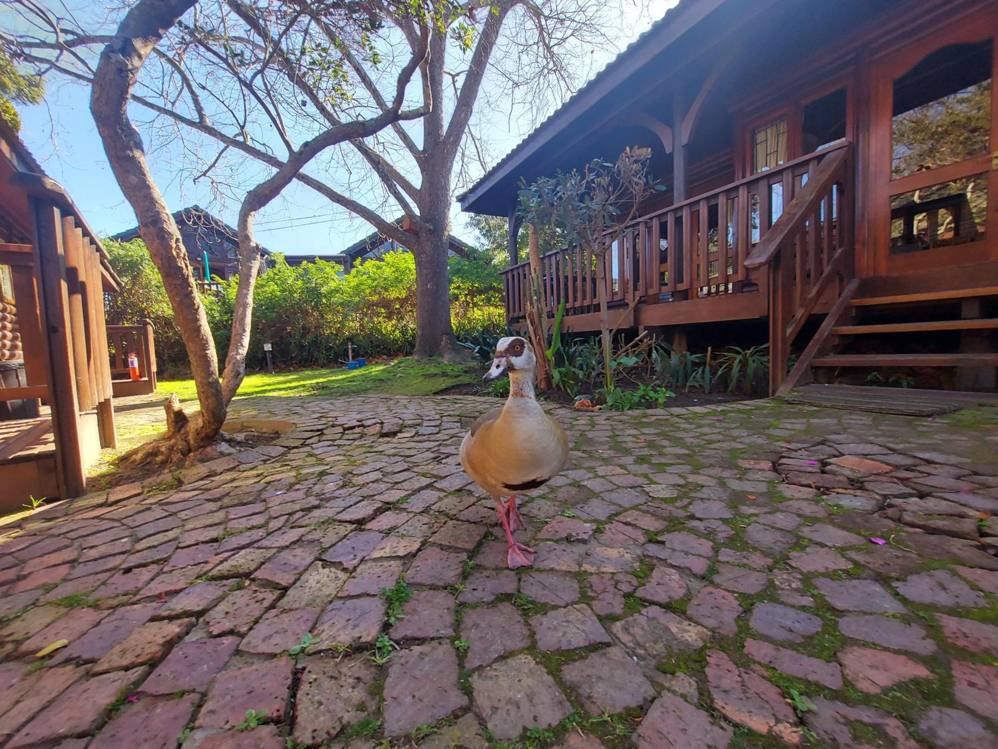 Knysna River Club By First Private Stays מראה חיצוני תמונה